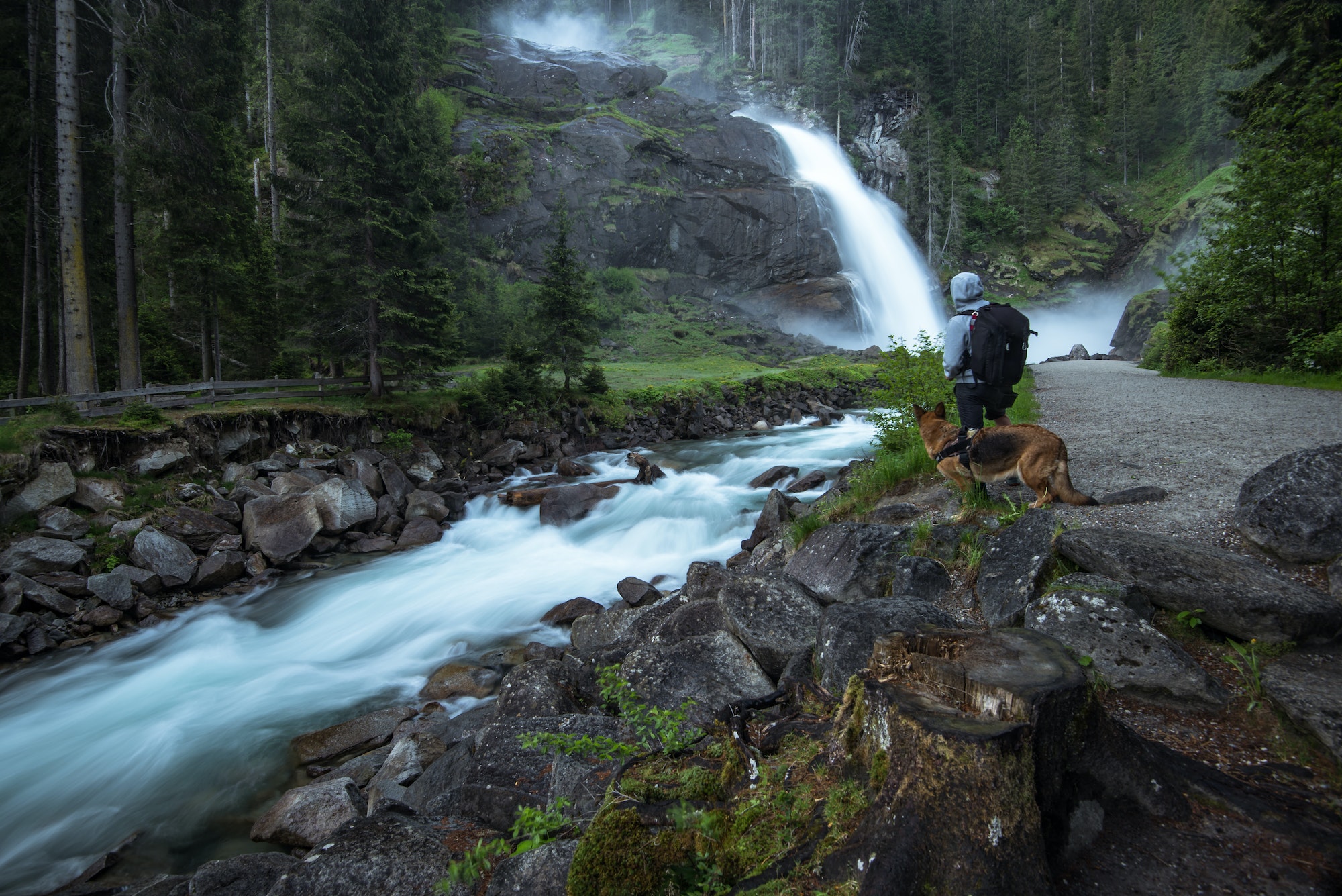 Man and dog watching Krimml Waterfalls in High Tauern National P